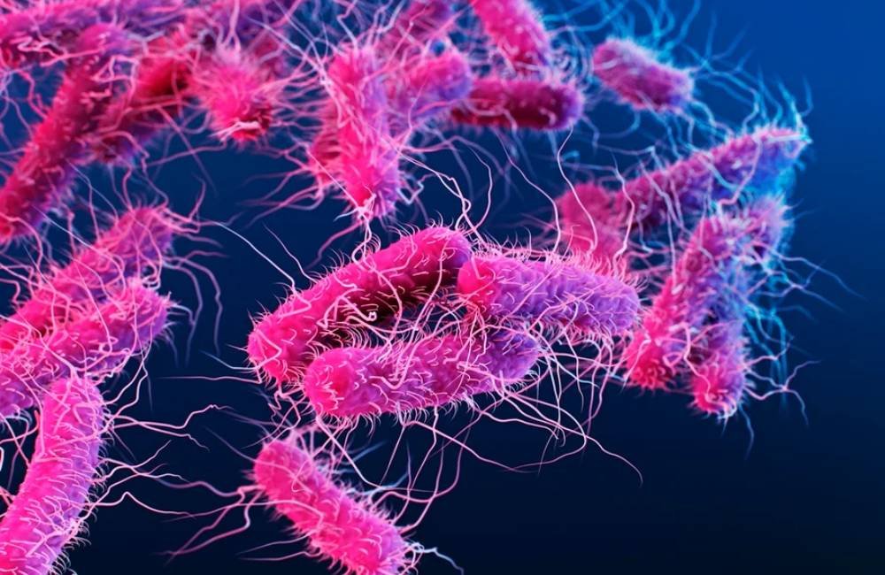 Doença rara faz pessoas ficarem bêbadas sem ingerir álcool