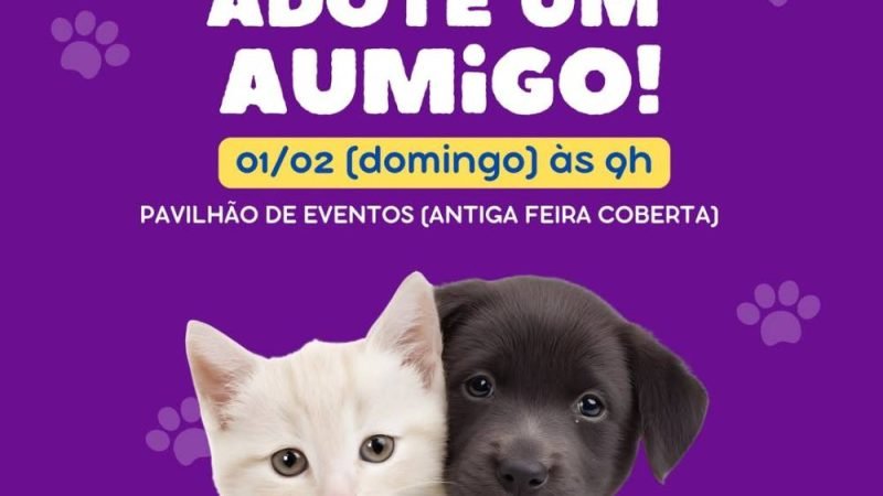 Feira de adoção de animais em Jataí acontece neste domingo (1º)