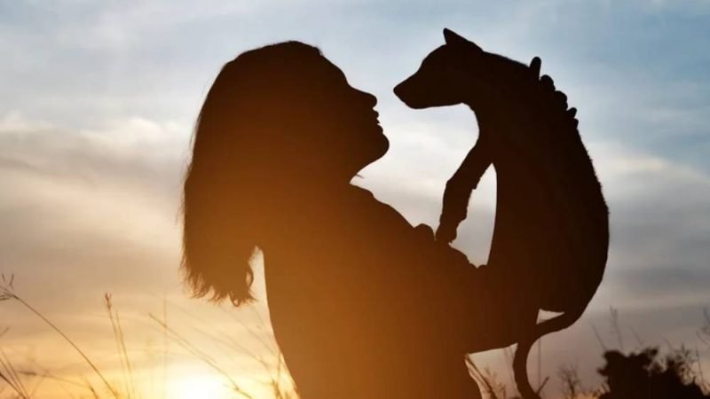 Luto por pets: por que a perda de um animal dói tanto?