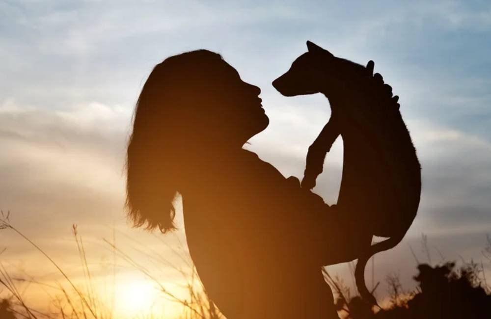 Luto por pets: por que a perda de um animal dói tanto?