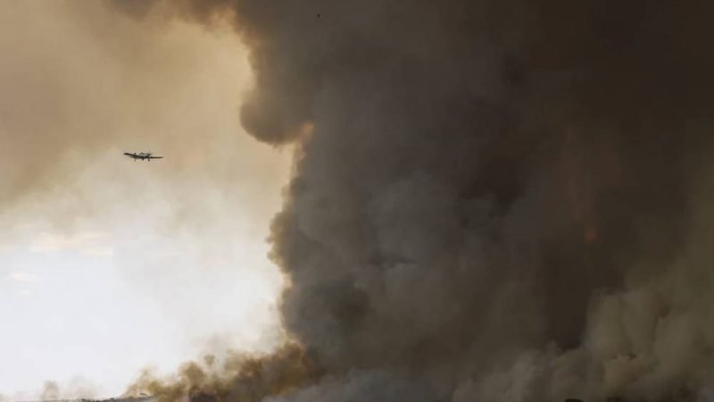 Orçamento ambiental cai 17% em 2026