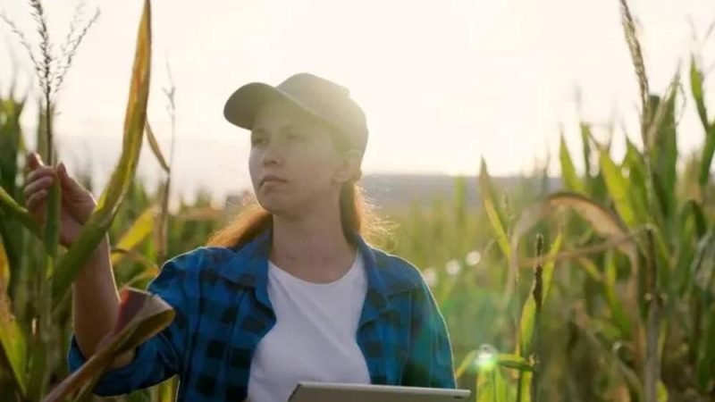 Profissões do agro em alta em 2026 oferecem salários de até R$ 50 mil