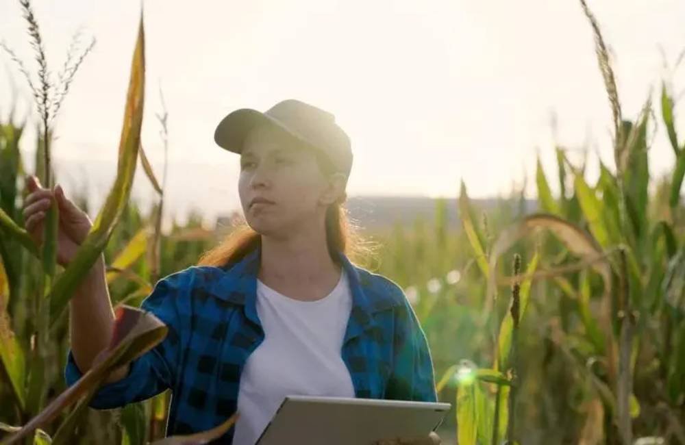 Profissões do agro em alta em 2026 oferecem salários de até R$ 50 mil