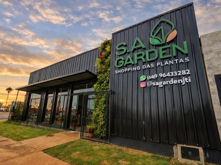 SA Garden Ensina estreia no Portal Panorama com dicas práticas sobre cuidados com plantas