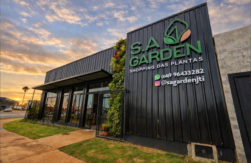 SA Garden Ensina estreia no Portal Panorama com dicas práticas sobre cuidados com plantas