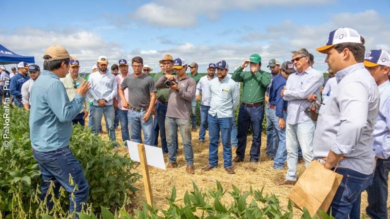 Galeria de fotos: Dia de Campo da DK em Jataí
