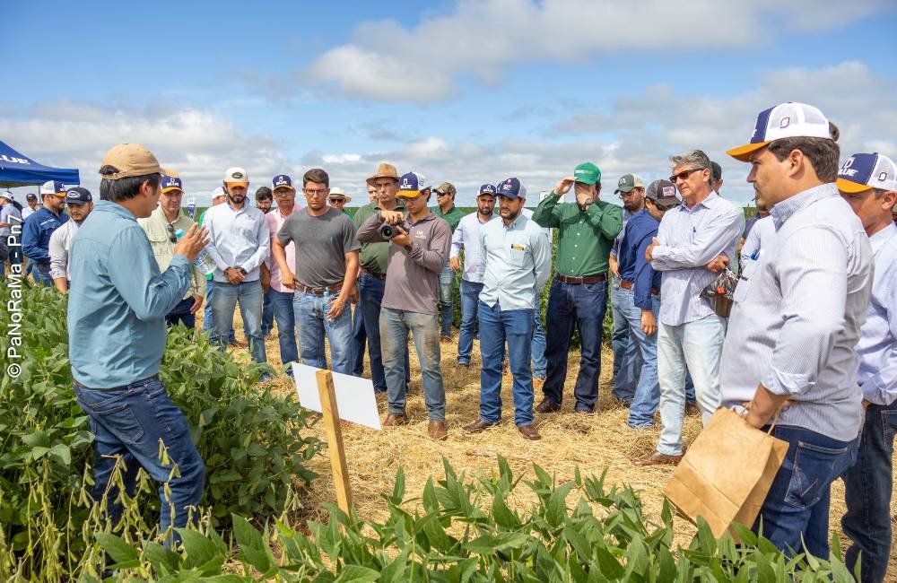 Produtores participam do Dia de Campo da DK em Jataí