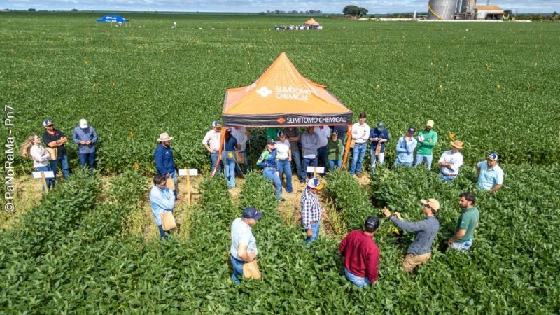 Dia de Campo da DK em Jataí destaca pesquisa aplicada para aumentar lucro e estabilidade na lavoura