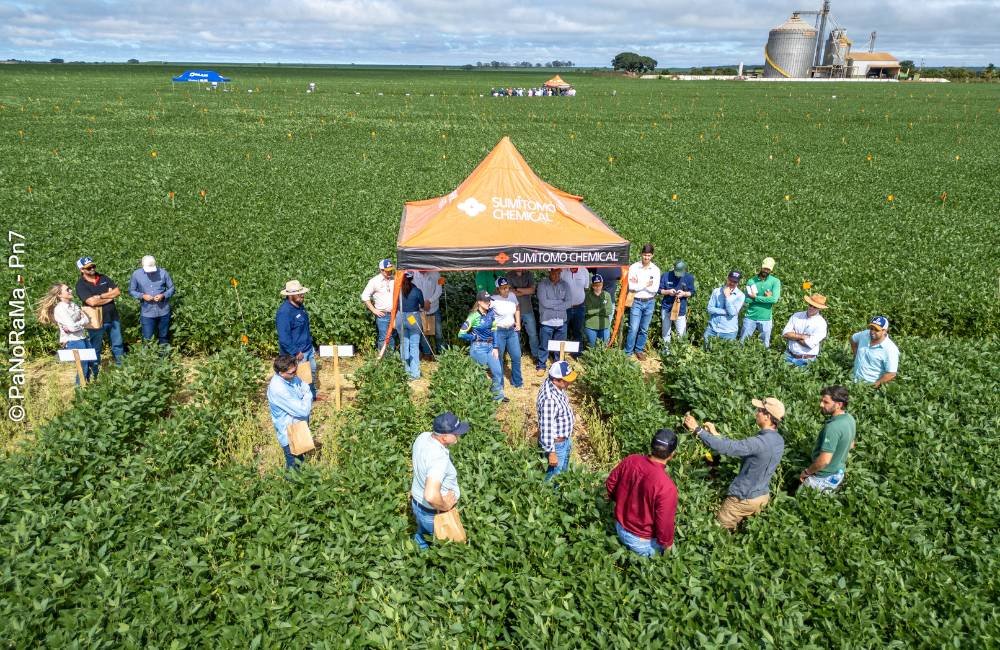 Dia de Campo da DK em Jataí destaca pesquisa aplicada para aumentar lucro e estabilidade na lavoura