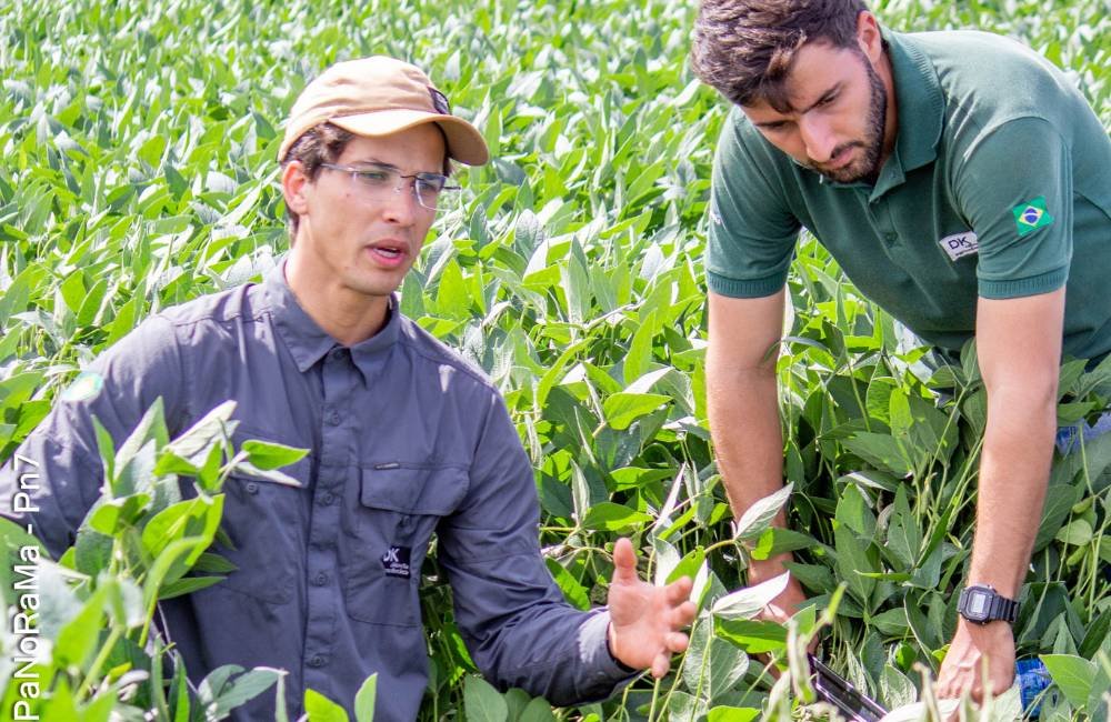 Márcio Strieder durante explicação técnica no Dia de Campo da DK em Jataí