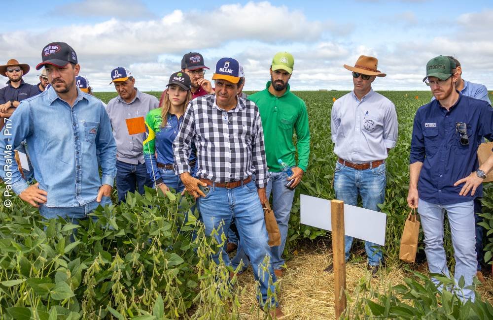 Produtores rurais acompanham ensaios no Dia de Campo da DK em Jataí