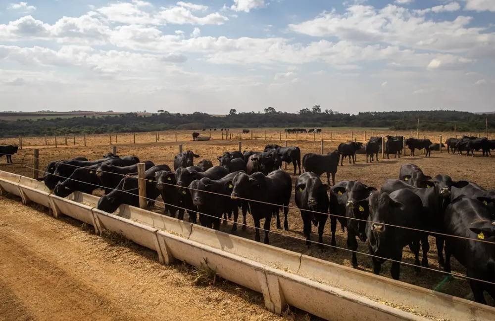 Atividade econômica brasileira cresce 2,5% em 2025, aponta Banco Central