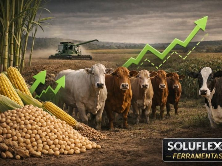 Cotação do Agro: soja chega a R$ 109 e boi China é vendido a R$ 325 nesta quarta