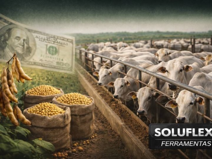 Dólar recua a R$ 5,19 e mantém soja em R$ 110 nas cotações do agro em Jataí nesta sexta