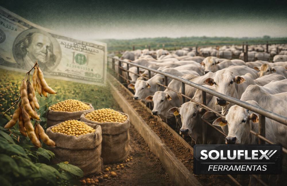 Dólar recua a R$ 5,19 e mantém soja em R$ 110 nas cotações do agro em Jataí nesta sexta