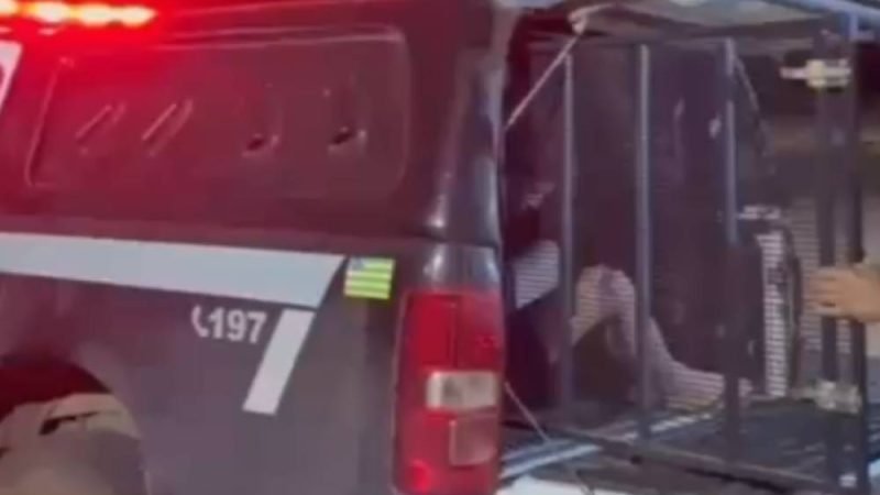 Polícia Civil prende suspeitos por golpe em negociação falsa de veículo