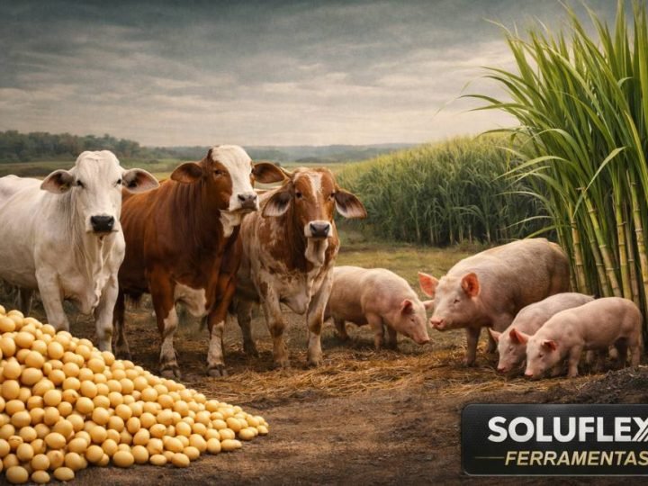 Soja sobe e dólar recua: Veja as cotações do agro em Jataí nesta terça-feira