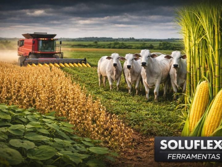 Soja sustenta R$ 109 em Jataí e boi gordo chega a R$ 330 nesta sexta (27)