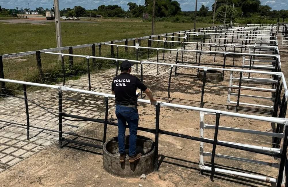 VÍDEO| Golpe em leilão de gado leva Polícia Civil a prender três pessoas em Goiás