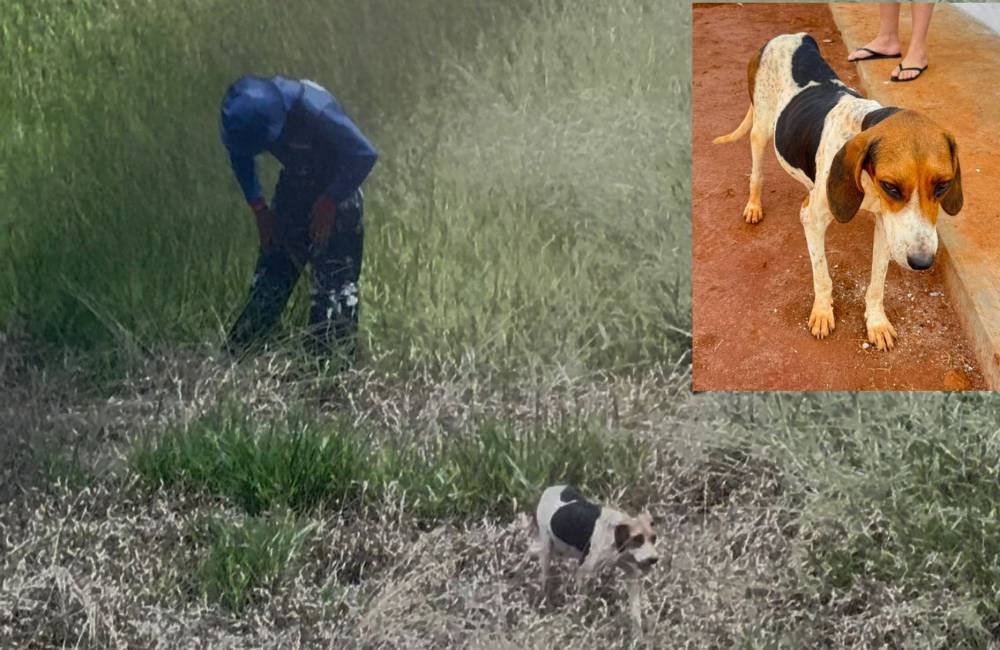 VÍDEO| Homem é preso em Mineiros por abuso sexual contra cadela