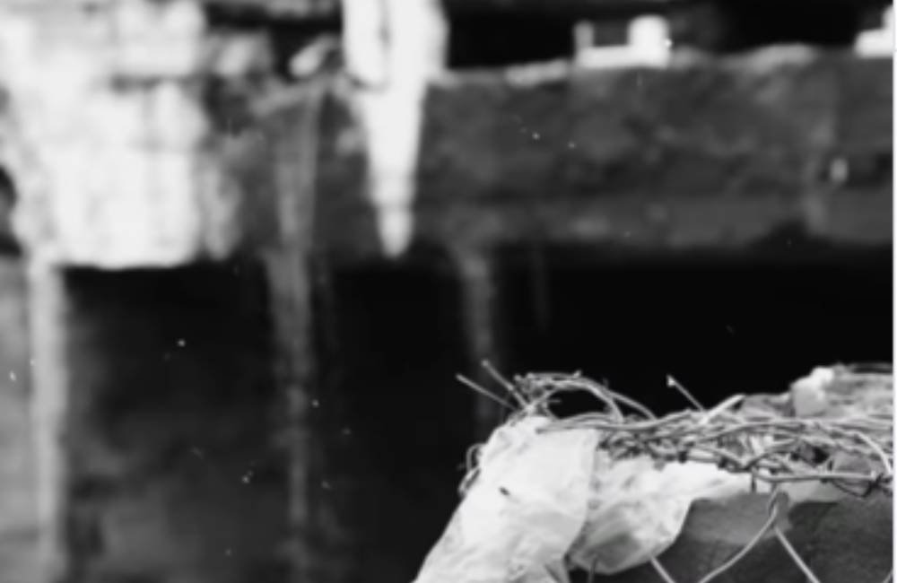 VÍDEO| Janeiro de 2026 registra o segundo maior volume de chuvas da história em Rio Verde