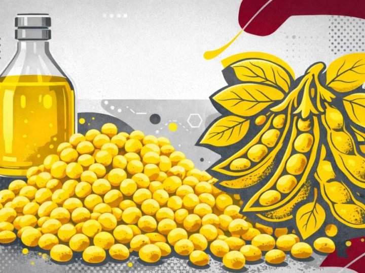 Brasil projeta recorde histórico no processamento de soja em 2026, impulsionado por demanda e safra forte