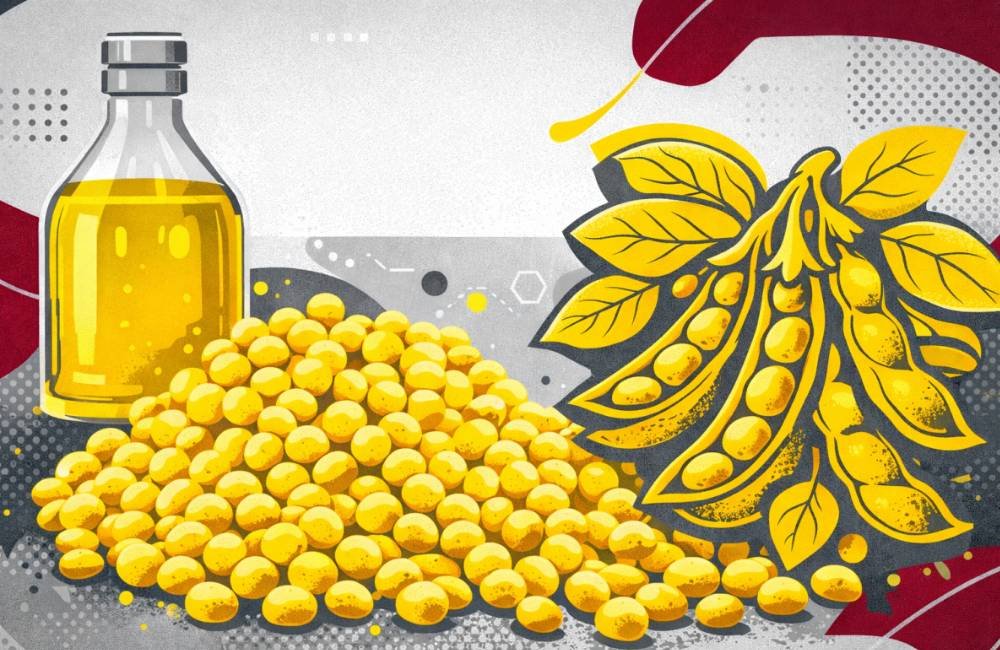 Brasil projeta recorde histórico no processamento de soja em 2026, impulsionado por demanda e safra forte