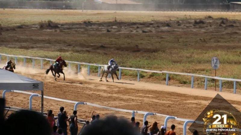 Hipódromo da Lagoinha retoma corridas de cavalos em Goiânia neste sábado