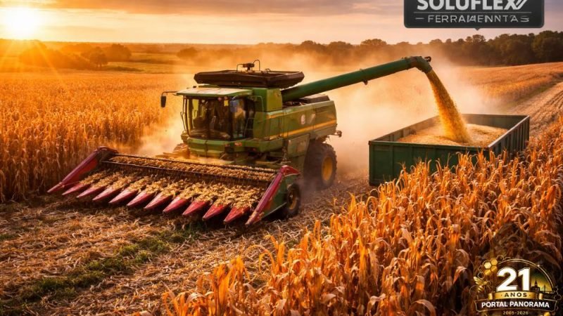 Soja e milho firmes e boi China valorizado marcam o mercado do agro em Jataí