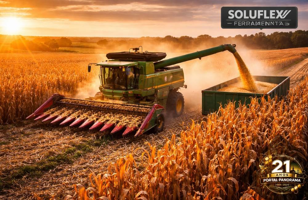 Soja e milho firmes e boi China valorizado marcam o mercado do agro em Jataí