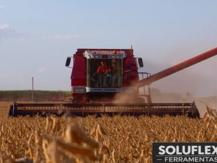 Soja estável e mercado do agro segue firme em Jataí