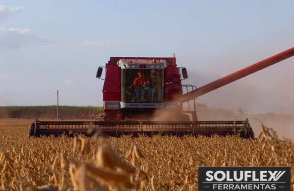 Soja estável e mercado do agro segue firme em Jataí
