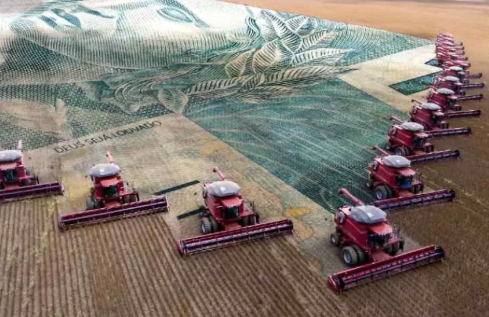 Crédito privado ganha espaço no agro diante da perda de força do financiamento público