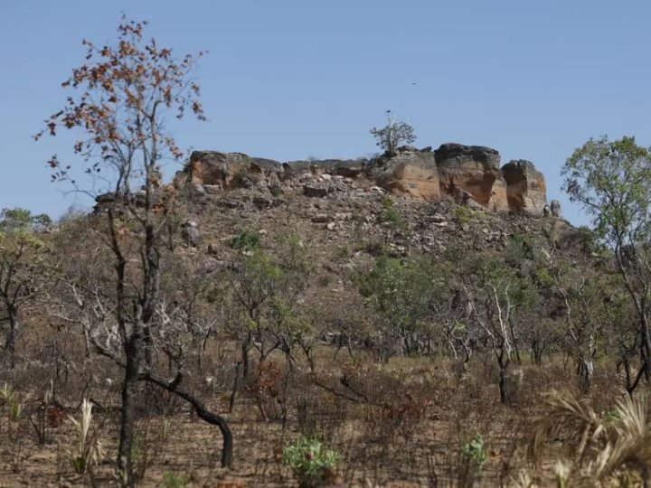IA expõe áreas abandonadas no Cerrado e alerta para recuperação ambiental
