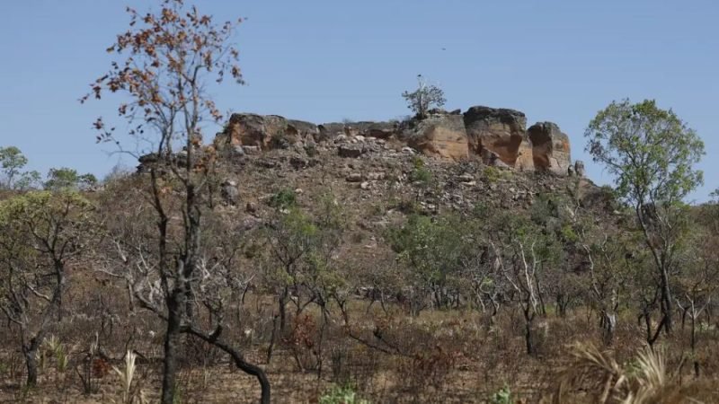 IA expõe áreas abandonadas no Cerrado e alerta para recuperação ambiental