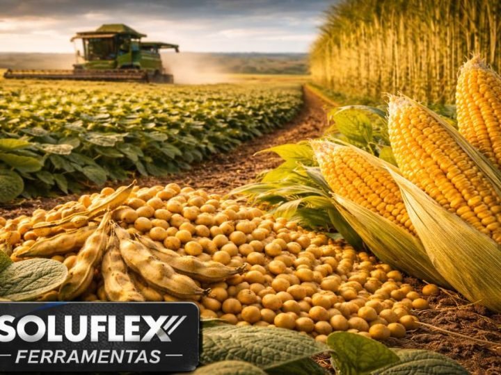 Soja se mantém forte e milho chega a R$58 nas cotações em Jataí