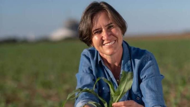 Colheita da soja avança em Jataí, mas produtores já acumulam perdas de até 15% na produtividade