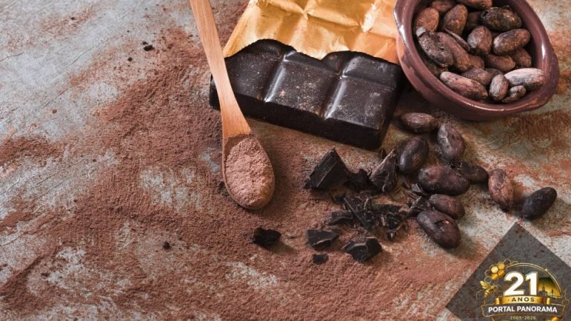 Cacau vai além do chocolate e se destaca pelos benefícios à saúde física e mental