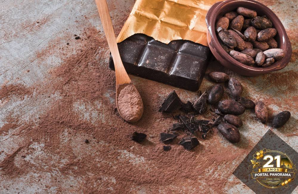 Cacau vai além do chocolate e se destaca pelos benefícios à saúde física e mental