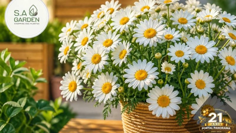 Conheça a flor perfeita para perfumar, iluminar e transformar sua casa com elegância natural