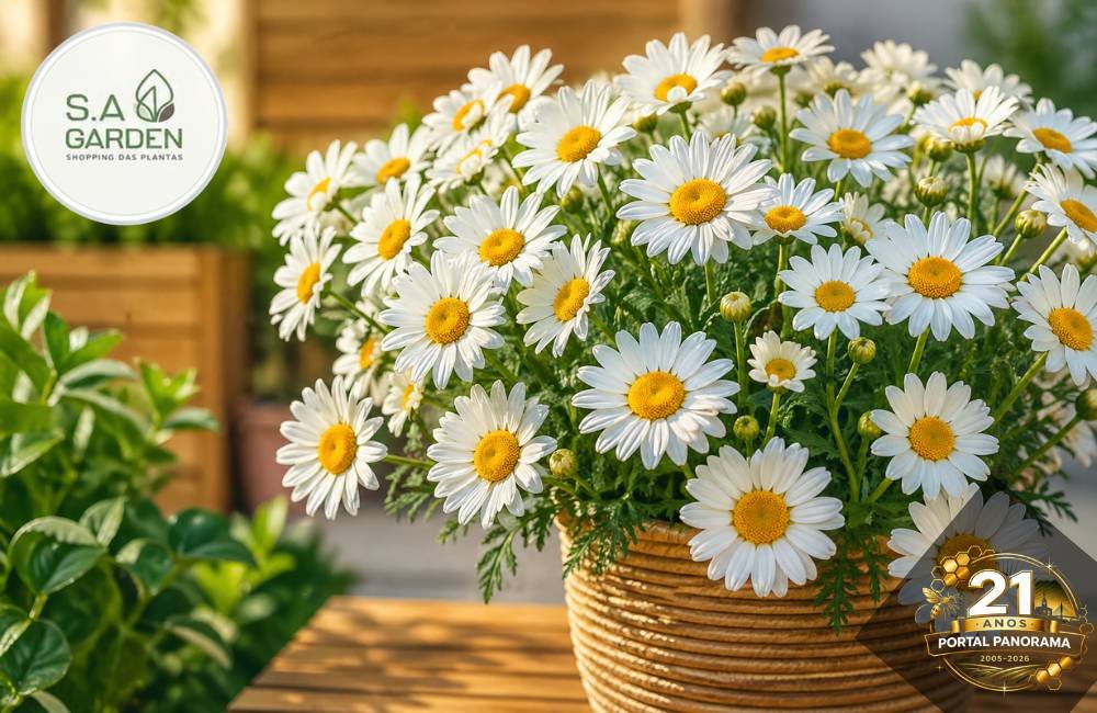 Conheça a flor perfeita para perfumar, iluminar e transformar sua casa com elegância natural