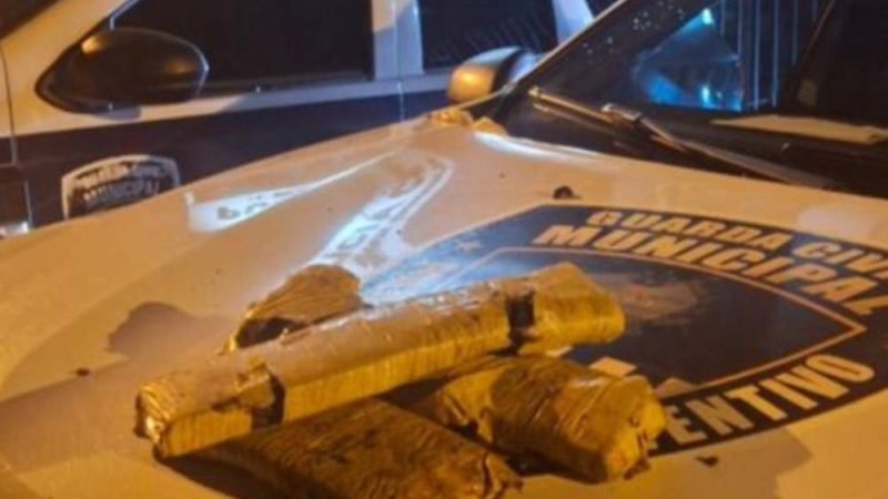 GCM de Jataí apreende cerca de 2 kg de maconha escondidos em área de mata