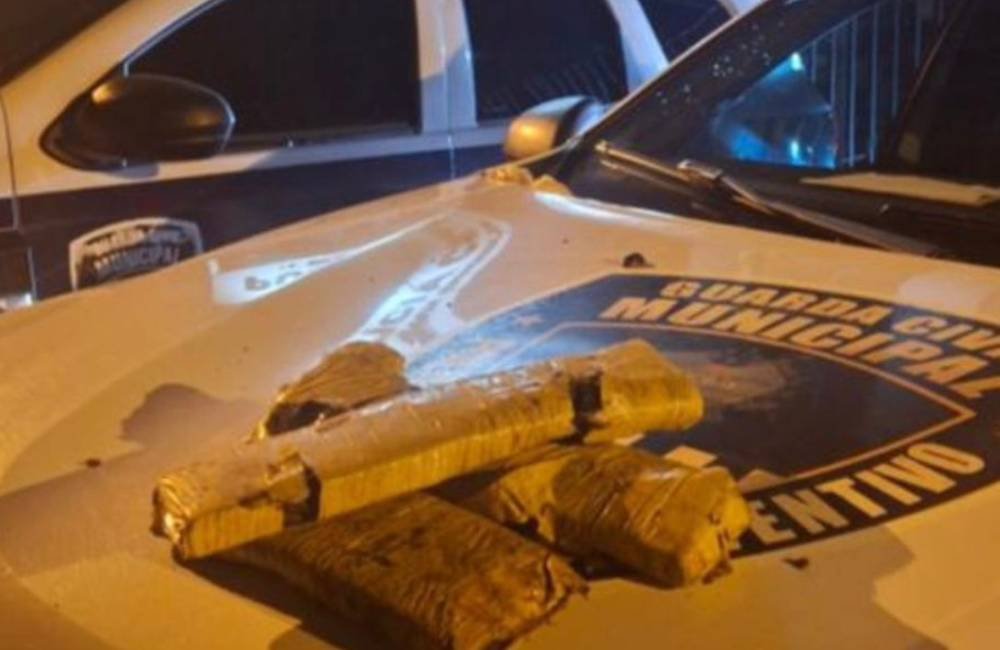 GCM de Jataí apreende cerca de 2 kg de maconha escondidos em área de mata