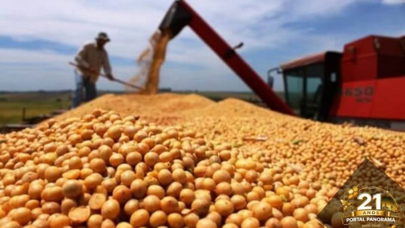 Soja chega a R$109 e boi gordo atinge R$350 nesta quarta (22)
