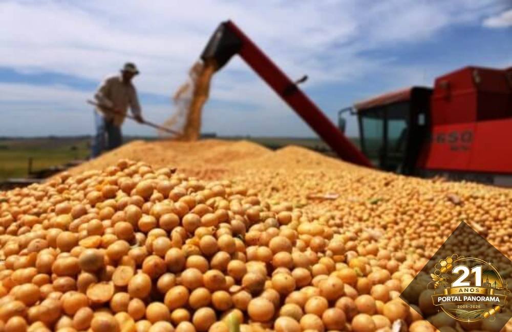 Soja chega a R$109 e boi gordo atinge R$350 nesta quarta (22)