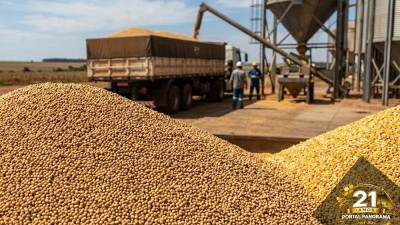 Soja chega a R$112 no spot e milho atinge R$55 nesta quarta