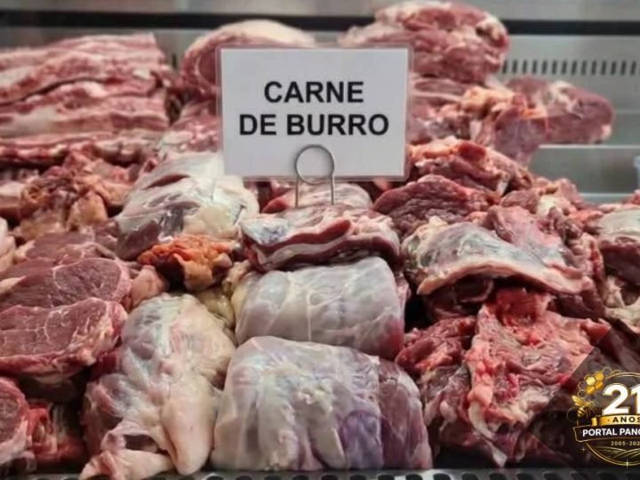 Alta da carne bovina faz argentinos recorrerem ao consumo de burro e lhama