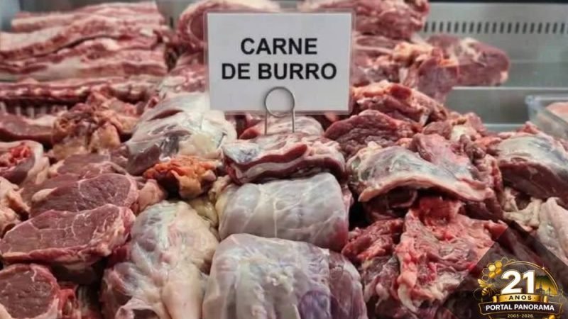 Alta da carne bovina faz argentinos recorrerem ao consumo de burro e lhama