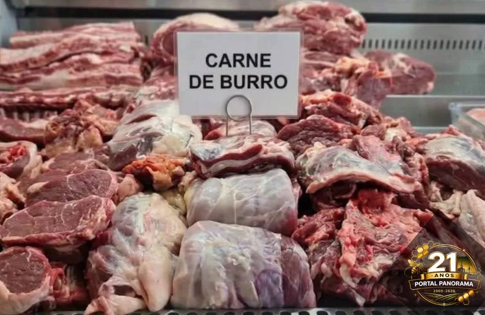 Alta da carne bovina faz argentinos recorrerem ao consumo de burro e lhama