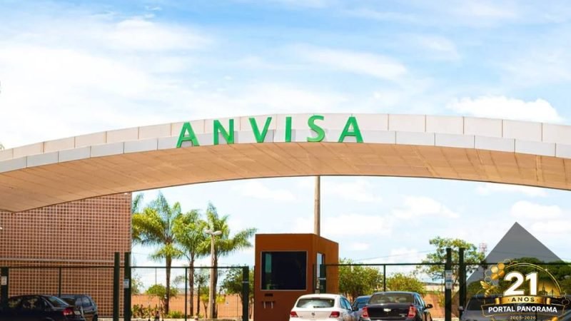 Anvisa proíbe lote de alecrim por conter insetos vivos; saiba qual